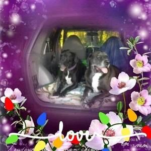 Meet your Posher, Joanne